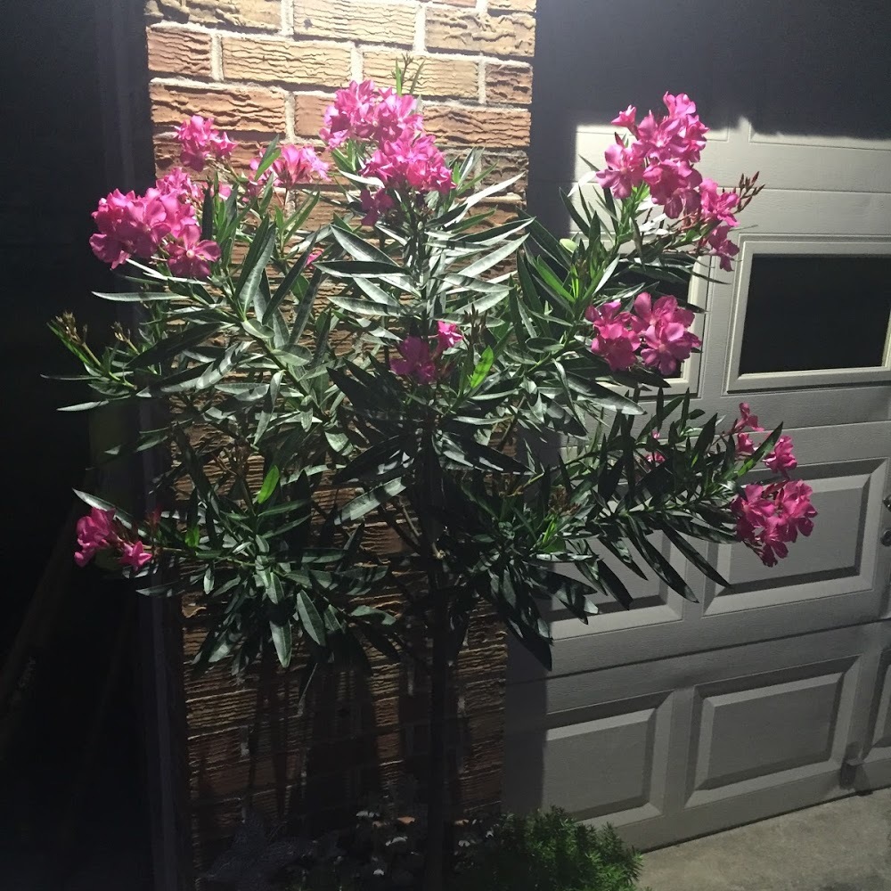 Meet your Posher, _